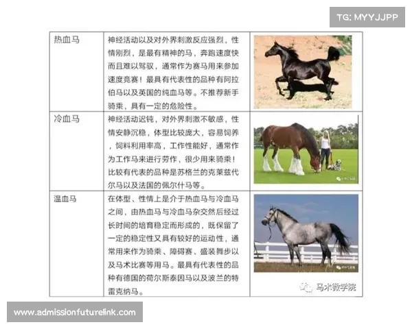 马的脚趾结构及其适应性特点解析与生物学意义探讨 马的脚趾结构及其适应性特点解析与生物学意义探讨